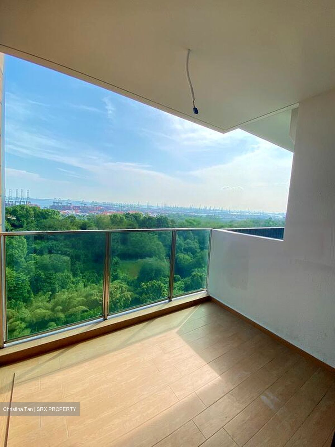 Normanton Park (D5), Apartment #519107711